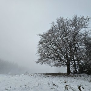 Marcela Kubíčková na vrcholu Benešky (Z vrchol) (29.11.2025 10:20)