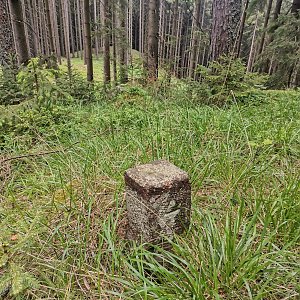 Šárka na vrcholu Mizerov (14.5.2024 12:33)
