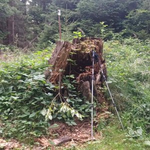 PA!WELL na vrcholu Požár (9.8.2025 18:48)