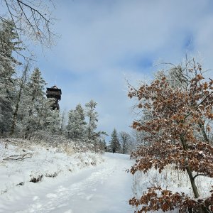 Moravskoslezské Beskydy