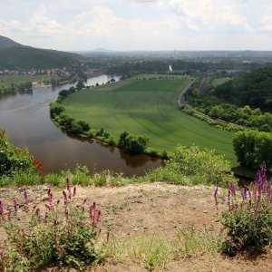 Dandy na vrcholu Kalvárie (31.5.2025 12:20)