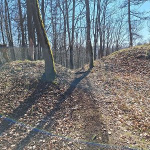 Cyklista 73 na vrcholu Velký Kouřim (20.3.2025 12:34)