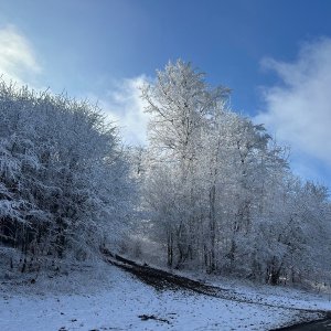 akam na vrcholu Ropice - V (16.3.2025 13:29)