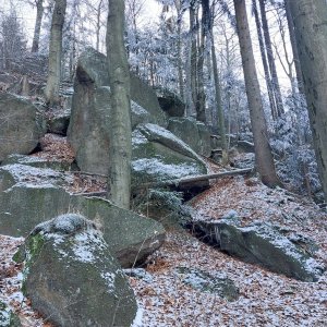 Mykas na vrcholu Oldřichovský Špičák SV (23.11.2025 9:41)