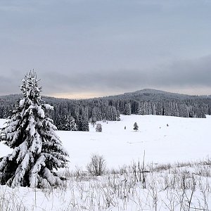 Nejhory Novohradek